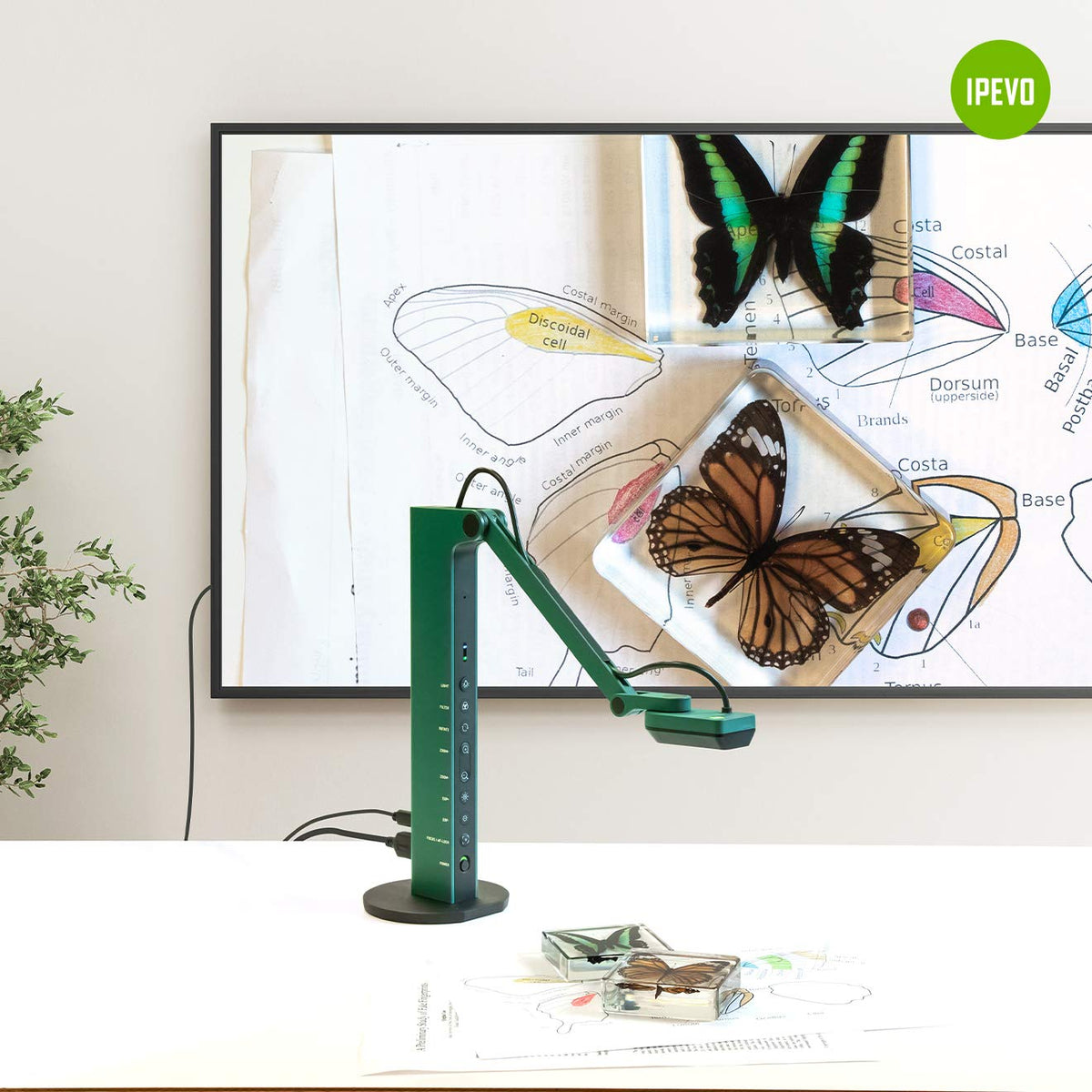 IPEVO VZ-X Wireless 8MP Document Camera, 3 Modes of Connectivity â Wi-Fi, HDMI, and USB, Compatible with Web Conferencing Software, Works Wirelessly with iOS, tvOS, and Android,Black, Blue