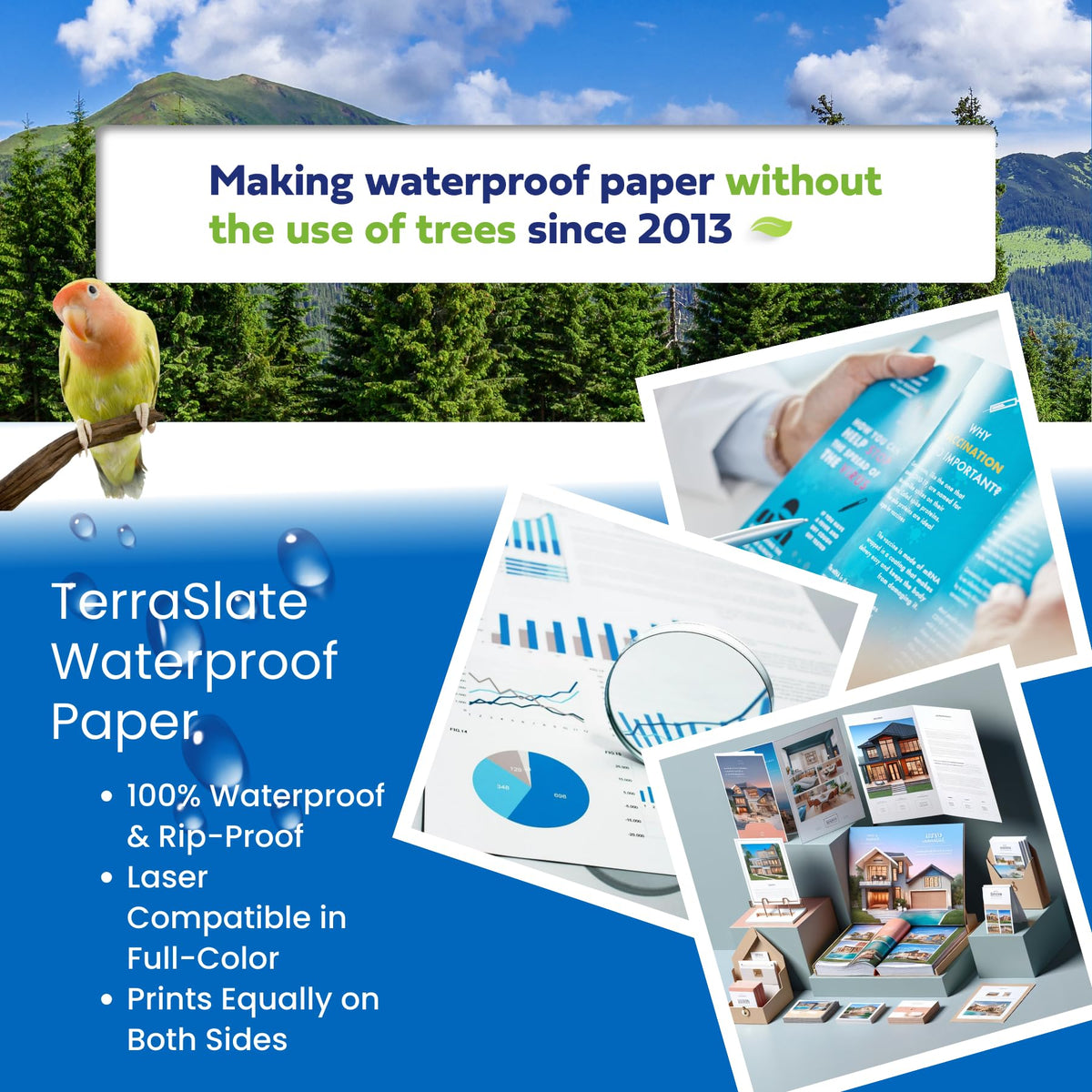 TerraSlate Premium Waterproof Paper, 5 Mil 8.5â x 11â, Laser Printer & Copy Machine Compatible, Durable & Rain/Weather-Proof Copy Paper, White Paper (100 Sheets)
